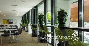 промышленный паркет hkl 10х8х160 дуб